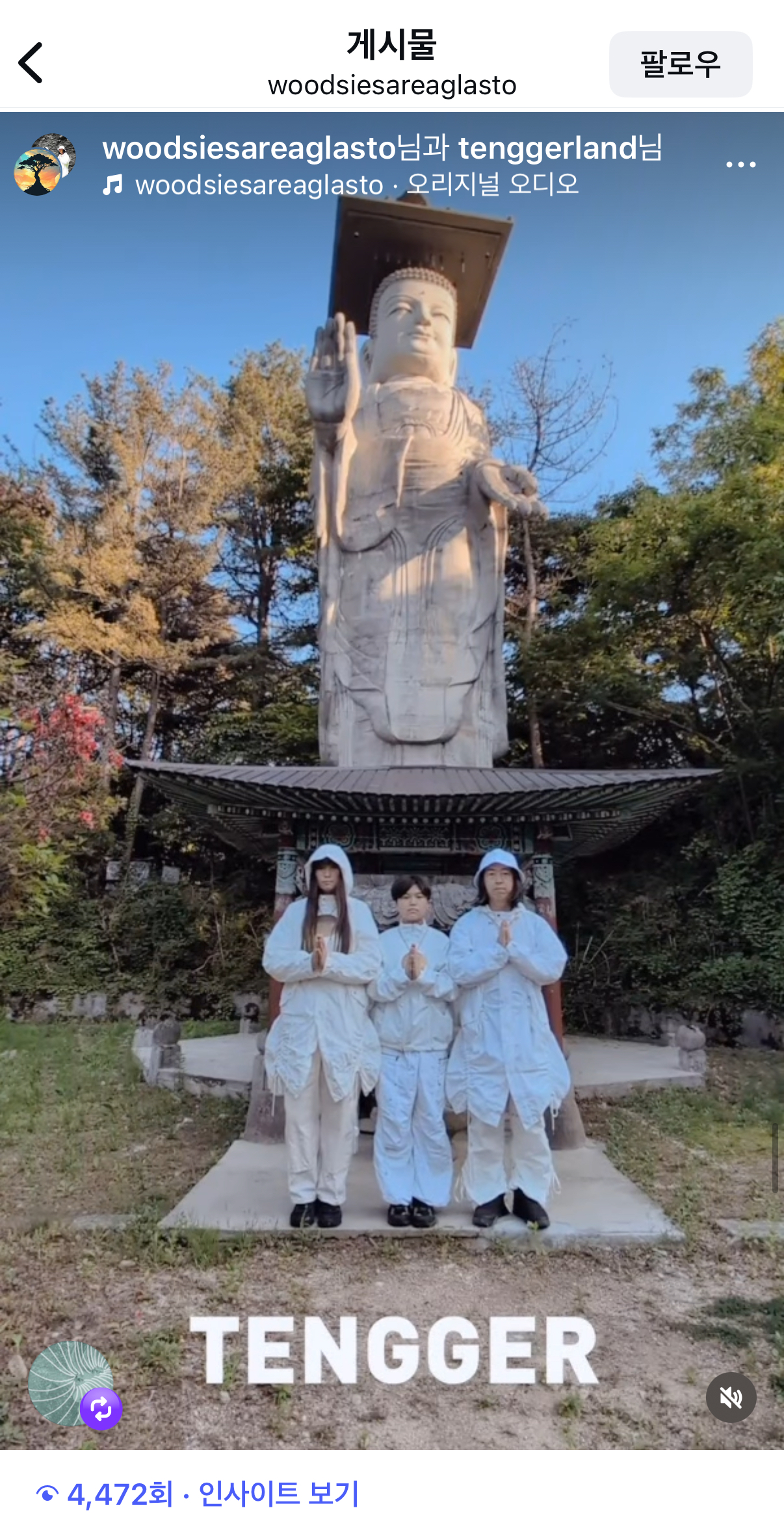 텐거 글래스톤베리 홍보물